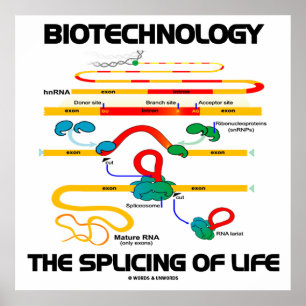 Poster Biotecnologia a emenda da vida (RNA maduro)