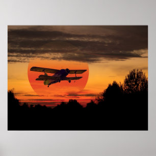 Póster biplano