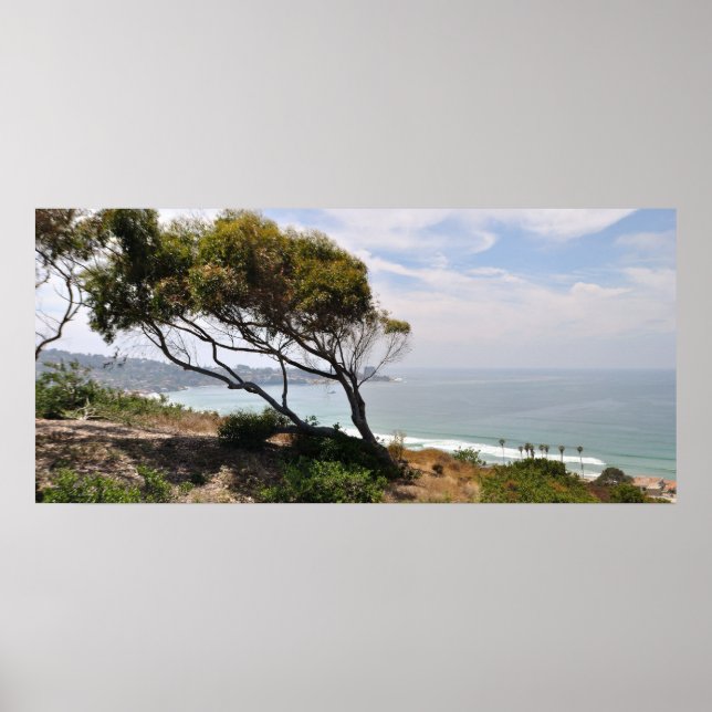 Poster Birch Aquarium Panorama (Frente)