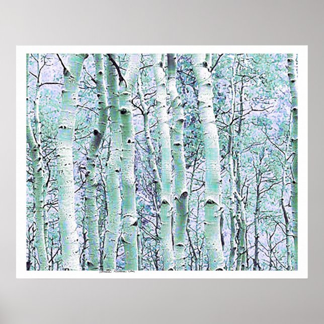 Póster Birch de inverno (Frente)