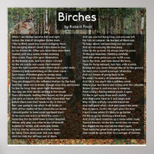Birches de Robert Frost Complete Poem/Birkenwald