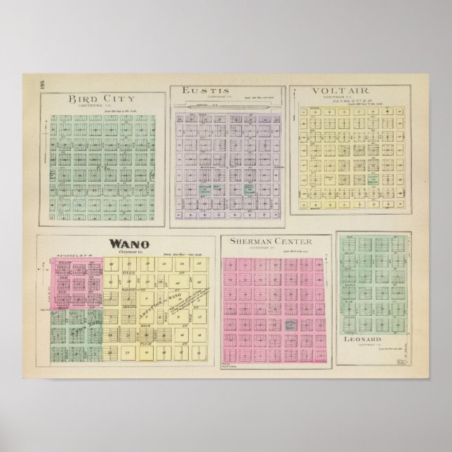 Póster Bird City, Eustis, Voltair, Wano, Kansas (Frente)