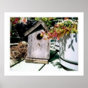 Póster Bird House