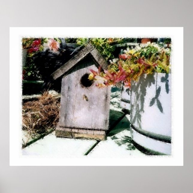Póster Bird House (Frente)