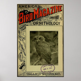 Poster Bird Magazine jun 8 1903