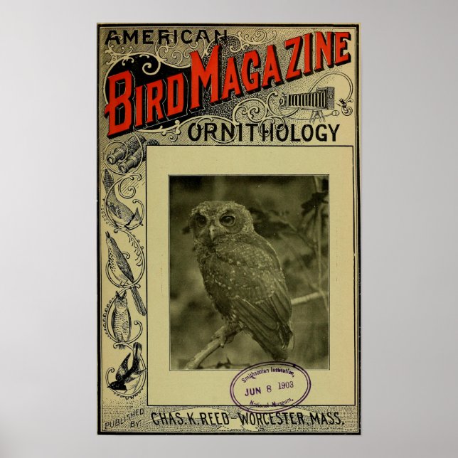 Poster Bird Magazine jun 8 1903 (Frente)
