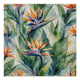 Póster bird of paradise