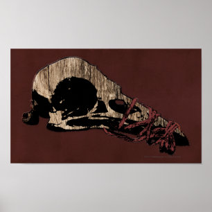 Poster Bird Skull