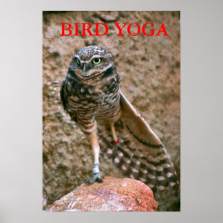 PÓSTER , BIRD YOGA