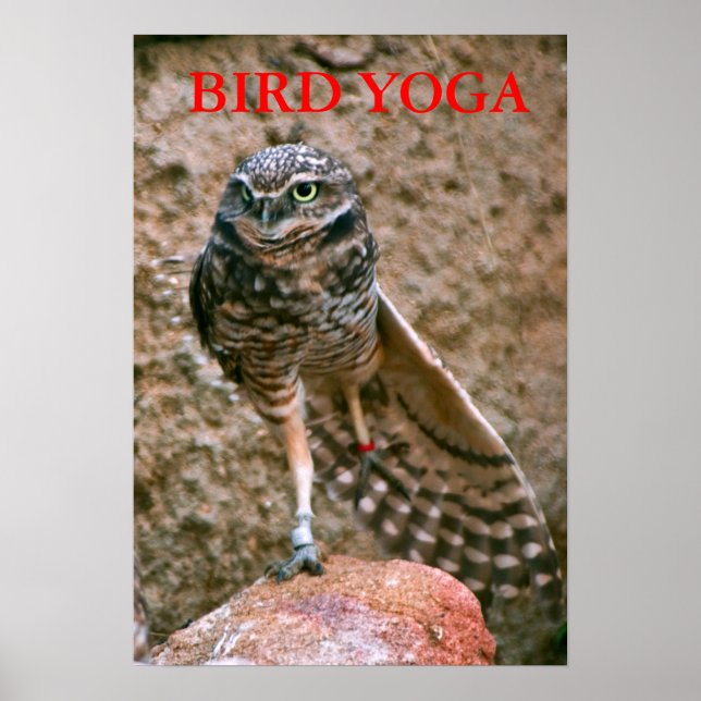 PÓSTER , BIRD YOGA (Frente)