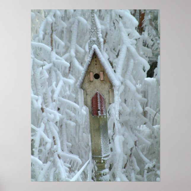 Póster Birdhouse em árvore enrugada de gelo (Frente)