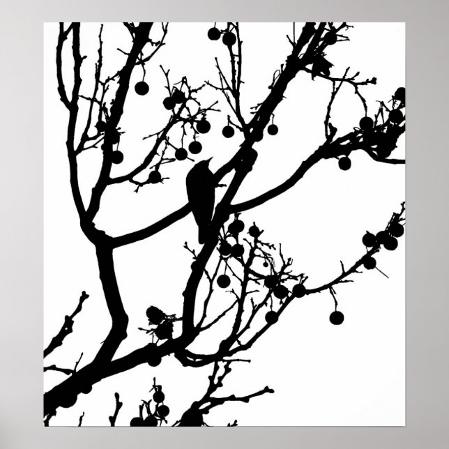 Póster Birdie 4 (Frente)