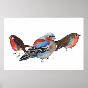 Póster Birds of a feather 2011