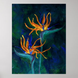 Póster Birds of Paradise