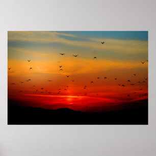 Poster Birds Take Flight at Sunset, picturesque photo,