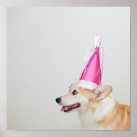 Birthday Pembroke Welsh Corgi