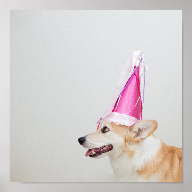 Póster Birthday Pembroke Welsh Corgi (Frente)