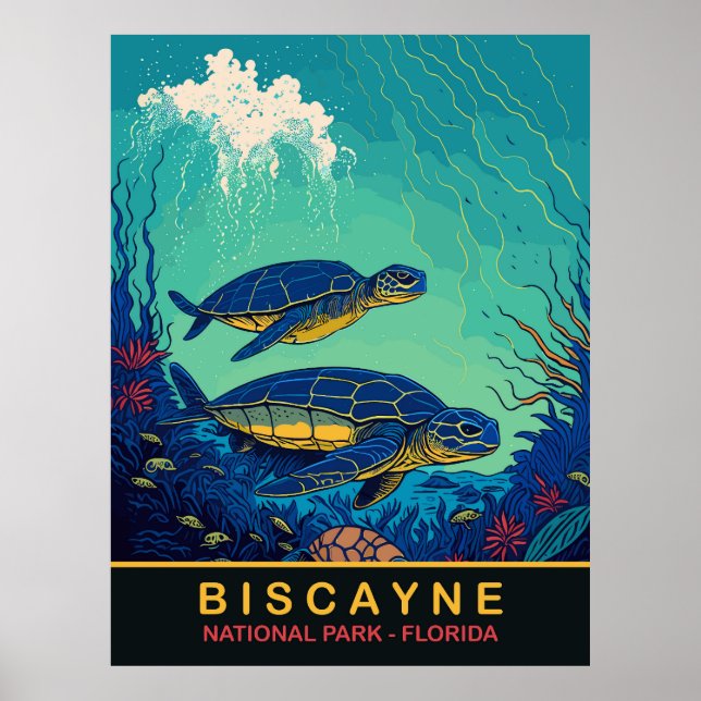Poster Biscayne, Tartarugas Subaquáticas, Flórida, Viagem (Frente)