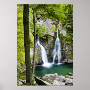 Póster Bish Bash cai no Parque Estadual Bish Bash Falls