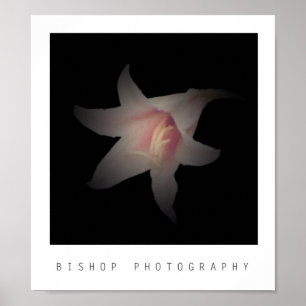 Poster Bishop Fotografia
