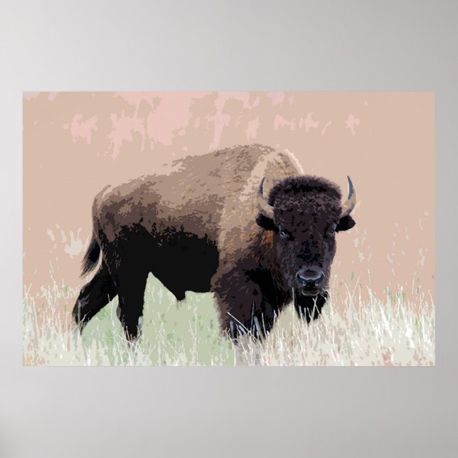 Póster Bison Buffalo American Trabalho de arte (Frente)