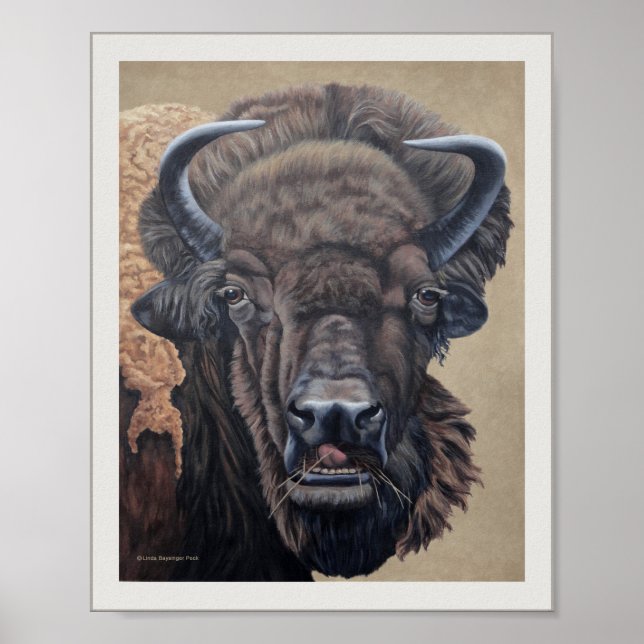 Póster Bison Buffalo Cow Comendo em Tan (Frente)