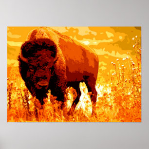 Poster Bison Buffalo Trabalho de arte
