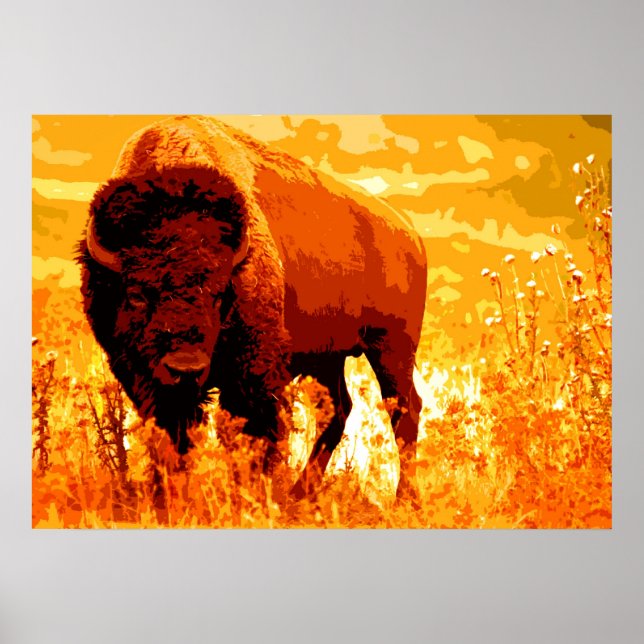 Poster Bison Buffalo Trabalho de arte (Frente)