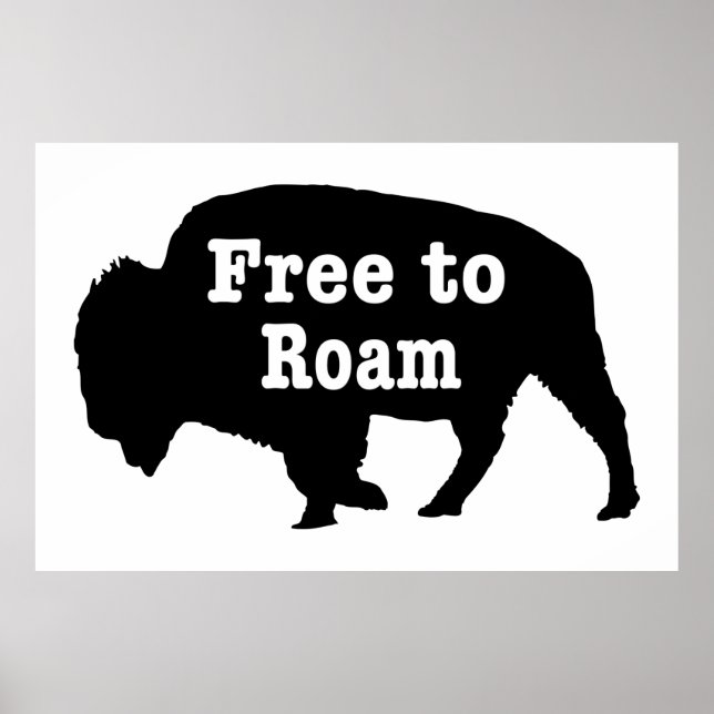 Poster Bison Free To Roam (Frente)
