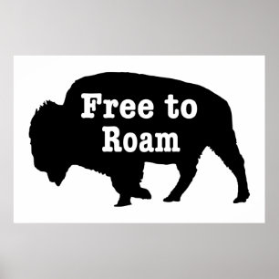 Poster Bison Livre Para Roam