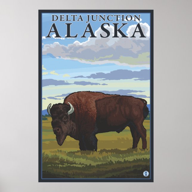 Póster Bison Scene - Delta Junction, Alaska (Frente)