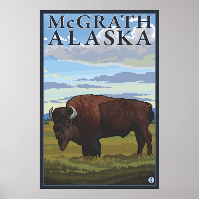 Póster Bison Scene - McGrath, Alaska (Frente)