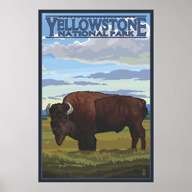 Poster Bison Scene - Parque Nacional de Yellowstone (Frente)