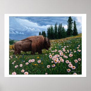 Póster Bisonte americano - "nenhum tempo para flores "