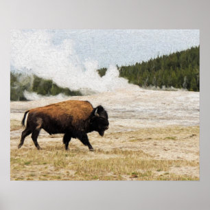 Póster Bisonte com o fiel velho em Yellowstone