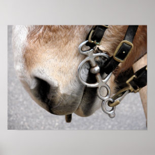 Póster Bit de condução