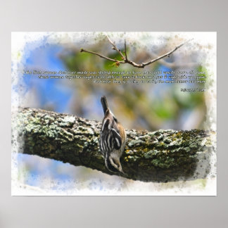 Poster Bitd na árvore Cota Verdade do Solitário