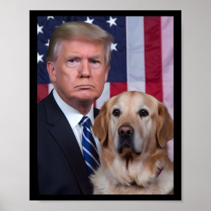 Poster Bizarro Trump E Cachorro Retriever Dourado Bandeir