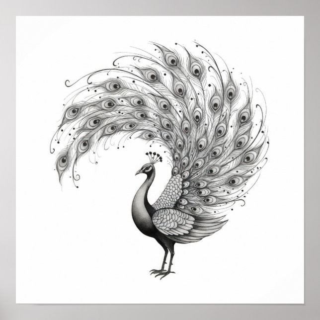 Poster Black and White Peacock (Frente)