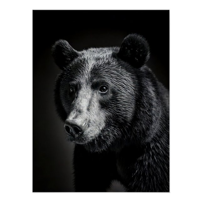 Póster Black Bear in fine art photography (Frente)