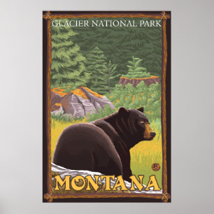 Póster Black Bear in Forest - Glacier National Park, MT