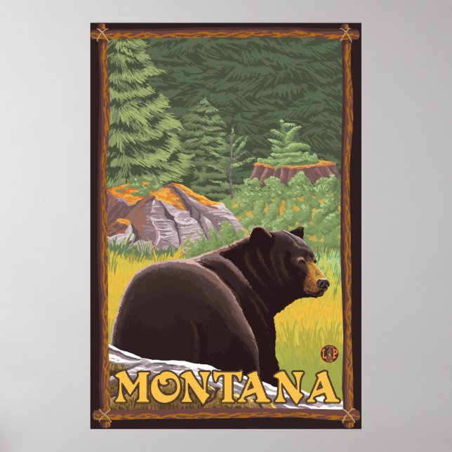 Póster Black Bear in Forest - Montana (Frente)