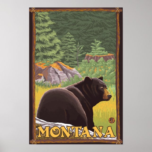 Póster Black Bear in Forest - Montana (Frente)