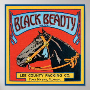Póster Black Beauty Vintage Crate Label - Horse