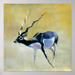 Póster Black Buck Velavadar 1997