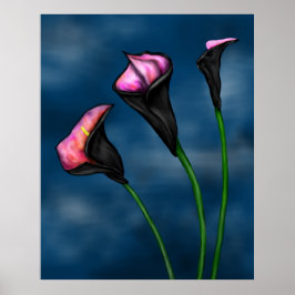 Poster Black Calla Lily Pink Center