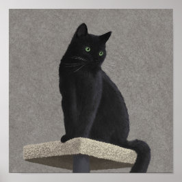 Poster Black Cat Royalty