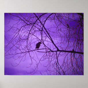 Póster Black Crown Purple Sky
