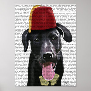 Póster Black Labrador Com Fez
