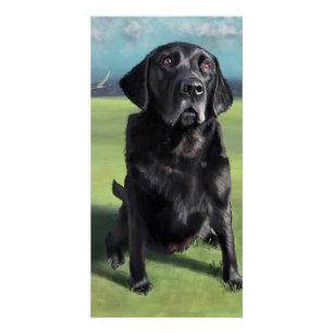 Póster Black Labrador Retriever Arleigh na Arte Costeira